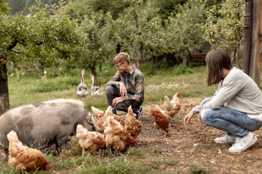 Teden turističnih kmetij Pri baronu